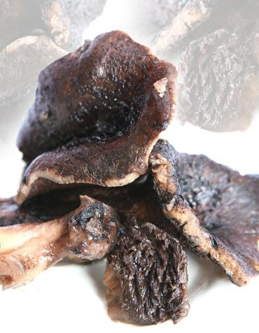 Nó là một loại nấm quý giá và đắt đỏ được mua rất nhiều để chế biến món ăn và làm quà biếu tặng. Ảnh: Du lịch Nhật Bản.