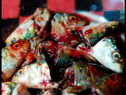 Khi chế biến món này người Yupik cho đầu cá hồi vào thùng gỗ sau đó chôn dưới đất nhiều tuần cho chúng lên men. Mùi và hình dạng của món đặc sản này đủ để khiến các du khách chạy xa. Ảnh: The Richest.