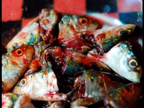 Khi chế biến món này người Yupik cho đầu cá hồi vào thùng gỗ sau đó chôn dưới đất nhiều tuần cho chúng lên men. Mùi và hình dạng của món đặc sản này đủ để khiến các du khách chạy xa. Ảnh: The Richest.