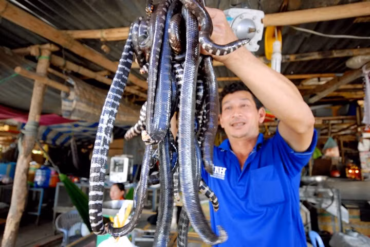 Chợ nổi Phụng Hiệp, Hậu Giang có điểm đặc biệt rất khác khu chợ nổi khác là món rắn. Tại đây các món ăn từ rắn rất phong phú. Ảnh: Zing.