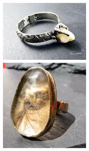Một chiếc nhẫn gắn răng người và một chiếc nhẫn có mặt là tóc người. Ảnh: Gettyimages.