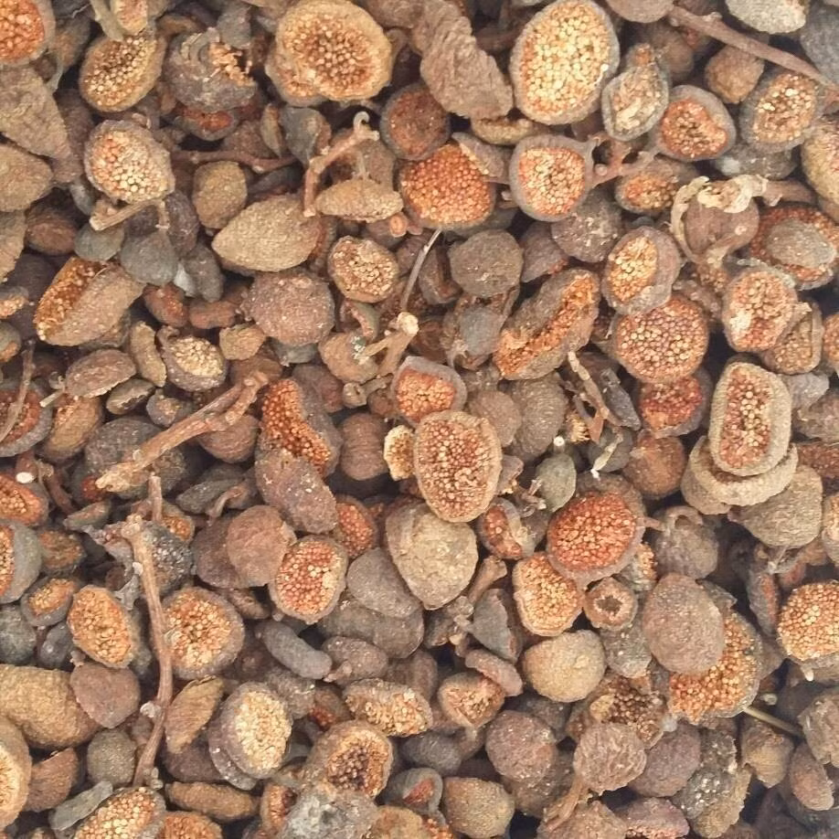 Theo Đông y, quả sung có vị ngọt, hơi chát, tính bình, có công năng nhuận tràng, thanh nhiệt, giải độc, tiêu đờm, lợi tiểu.