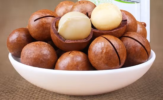 Hạt mắc ca rất tốt cho tim mạch vì hoàn toàn không có cholesterol nên không làm tăng lượng cholesterol xấu của cơ thể.