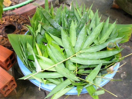 Tham khao bai thuoc phong cam cum cho tre em ngay lanh