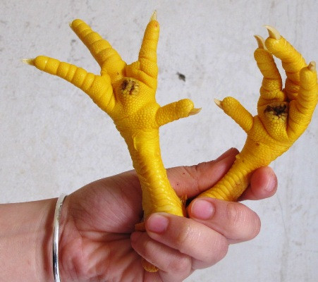 Da chân gà thường được sử dụng để nấu thành cao sau đó uống với nước sắc vỏ ngũ gia bì và thạch xương bồ với liều 8g mỗi ngày. Bài thuốc này giúp chữa chứng run chân tay, đi đứng không vững. Ảnh: Vietnamnet.