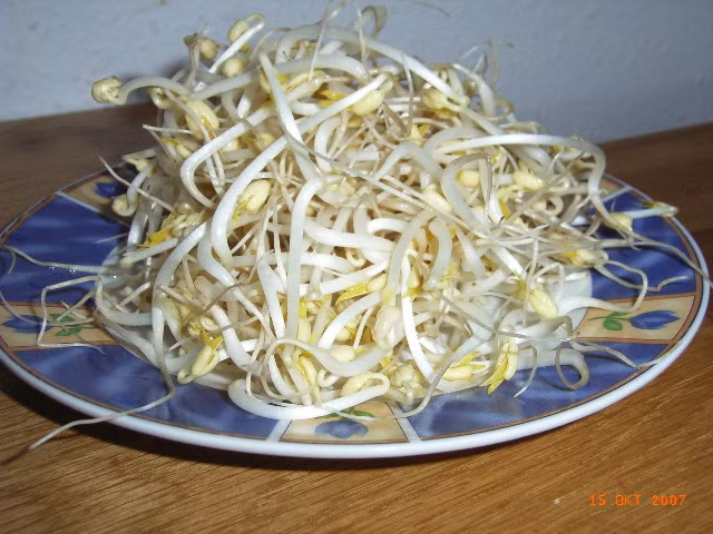 Ngoài ra, bạn có thể nhai giá sống, nuốt nước, kết quả cũng rất tốt. Ảnh: Dân Việt.