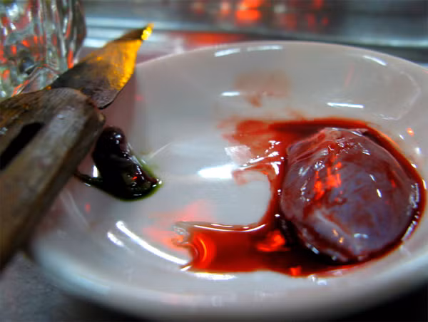 Huyết rắn có tác dụng tăng cường sinh lực, bổ thận, làm mạnh gân cốt. Nó cũng có thể chữa lưng đau, gối mỏi, sinh lý yếu. Ảnh: Xóm nhiếp ảnh.