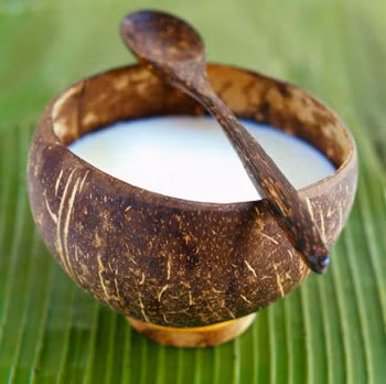 Trong thành phần của dầu dừa có 2 acid có khả năng thúc đẩy hoạt động của tuyến tụy tiết insulin nhiều hơn để vận chuyển lượng glucozo trong máu. Sử dụng dầu dừa nguyên chất hàng ngày sẽ giúp những người bị đái tháo đường bớt bị phụ thuộc vào việc tiêm bổ sung thêm insulin. Ảnh: Bài thuốc vn. (Thông tin trong bài chỉ mang tính chất tham khảo, vui lòng hỏi ý kiến bác sĩ khi sử dụng.)