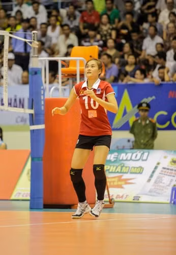 Nguyễn Linh Chi sau lần đầu tiên thi đấu cho tuyển Việt Nam ở VTV Cup 2014 đã trở thành một gương mặt nổi bật. Cô là một chân dài 9X đầy đủ tài, sắc được giới chuyên môn và truyền thông nước nhà đánh giá cao.