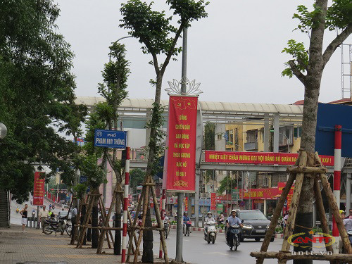 Con duong dep nhat Ha Noi da co hang cay moi-Hinh-2