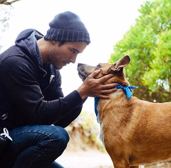 Ngoài ra, đoạn video vui về chú chó nghe lời đã thu hút được hàng trăm nghìn lượt xem. Đó là hình ảnh Clark nhìn chằm chằm về phía trước với một miếng thịt sống đặt ở chóp mũi. Chú cún đã hết sức tập trung và kìm nén sự thèm muốn của mình cho đến khi cậu chủ đồng ý cho ăn.