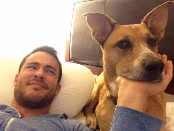 Ở một video khác đã cho thấy Sarantos còn đặt những miếng táo và những chiếc bánh quy lên mũi chú cún của mình. Anh nói rằng Clark cũng biết mình được “thần tượng” nên rất tập trung giữ được sự “lạnh lùng” của mình trước món ăn khoái khẩu, điều mà ít thấy ở những chú chó. Nhiều người thậm chí hỏi vui rằng liệu Clark có phải là chú cún kỉ luật và tập trung nhất thế giới