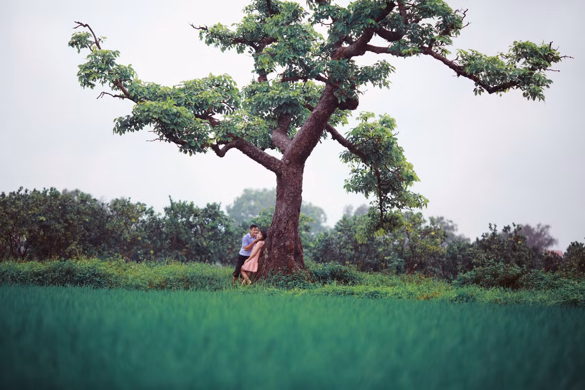 Mặc dù phải tạo dáng và làm việc trong thời tiết xấu nhưng những góc ảnh vẫn vô cùng lung linh.