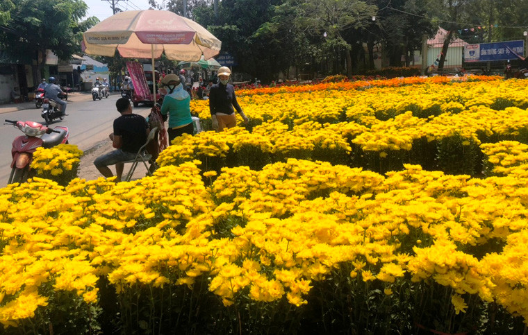 "Mọi năm, tôi cố gồng cũng bán được hơn phân nửa sáng 30 Tết. Tuy nhiên, tết năm nay, dù đã quá trưa ngày cuối cùng sắp bước vào Giao thừa nhưng lượng hoa bán được vẫn chưa đủ vốn", chị Xuân, quê tỉnh Long An buồn bã chia sẻ.