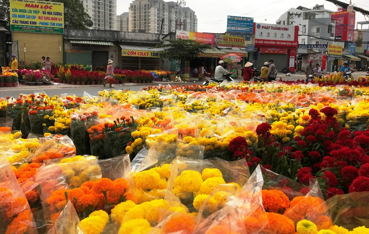 Hơn 12h trưa nay 30 Tết Kỷ Hợi (4/2), người buôn hoa Tết "nín thở" chờ khách trên khắp các tuyến đường từ trung tâm TP ra đến các quận, huyện ngoại thành.