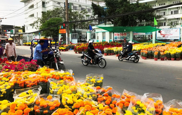 Theo ghi nhận của nhóm PV Kiến Thức, dù chỉ còn hơn 10 tiếng đồng hồ nữa đến thời khắc Giao thừa đón năm mới Kỷ Hợi, tuy nhiên nhiều điểm bán hoa Tết vẫn còn đầy ắp hàng. Ảnh trên đường Đỗ Xuân Hợp, quận 9, TP HCM.