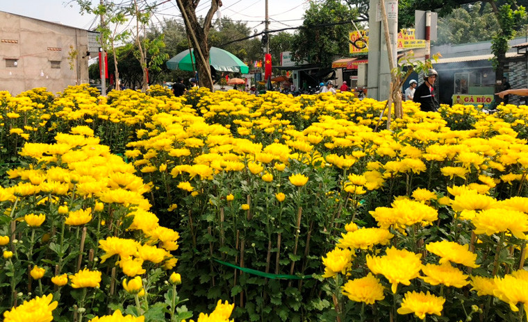Điểm bán hoa này chỉ lác đác vài khách đến xem nhưng cũng không ít người mua. 