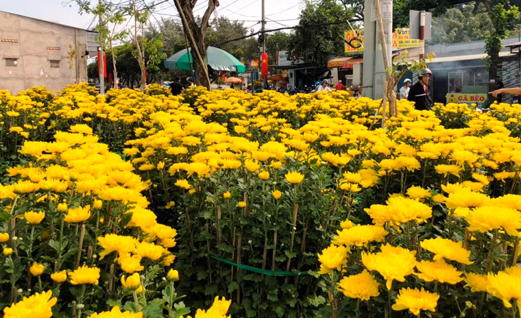 Điểm bán hoa này chỉ lác đác vài khách đến xem nhưng cũng không ít người mua. 