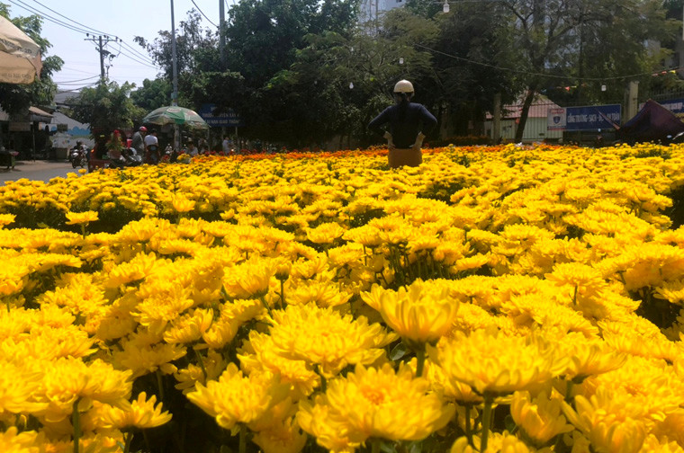 Hàng chục điểm bán hoa Tết trên đường Hương lộ 2, đoạn qua quận Bình Tân, TP HCM trưa 30 Tết.