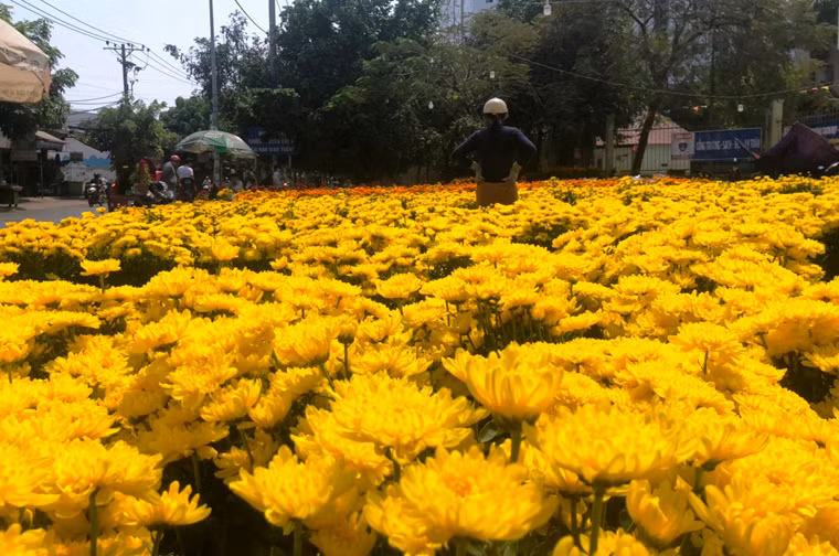 Hàng chục điểm bán hoa Tết trên đường Hương lộ 2, đoạn qua quận Bình Tân, TP HCM trưa 30 Tết.