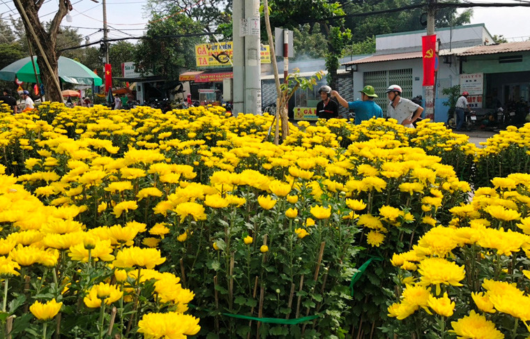 Nhiều điểm bán hoa đã bắt đầu hạ giá để người bán tranh thủ trở về nhà trước thời khắc giao thừa