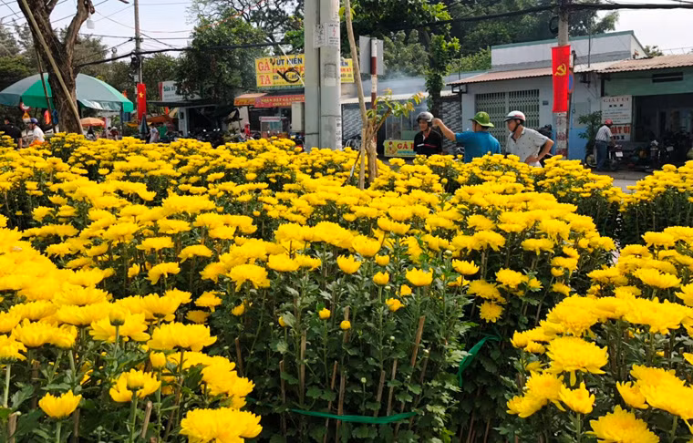 Nhiều điểm bán hoa đã bắt đầu hạ giá để người bán tranh thủ trở về nhà trước thời khắc giao thừa