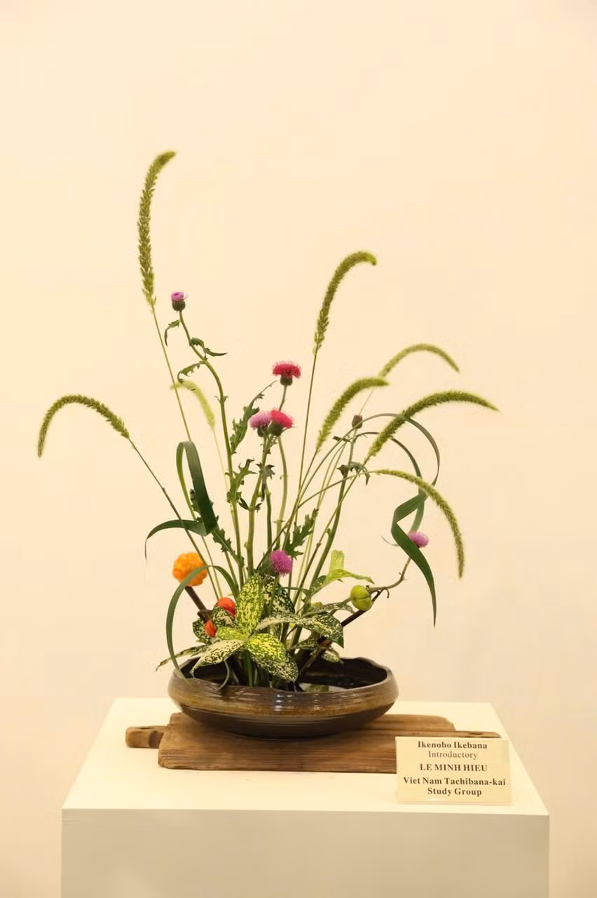 Thong diep y nghia tu Nghe thuat cam hoa Ikebana tai trien lam 