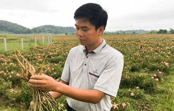 Cu nhan lich su voi sam tien vua mang ve hon nua ty dong/nam-Hinh-5