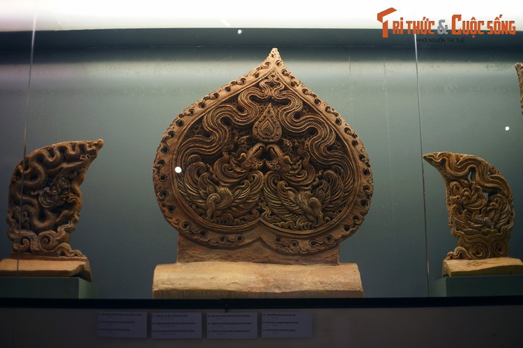 Soi bao vat la de chim phuong dep nhat thanh Thang Long thoi Ly