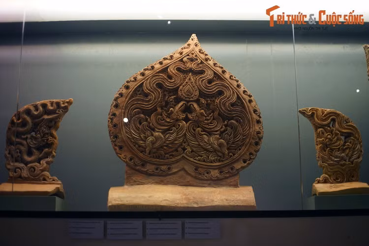 Soi bao vat la de chim phuong dep nhat thanh Thang Long thoi Ly