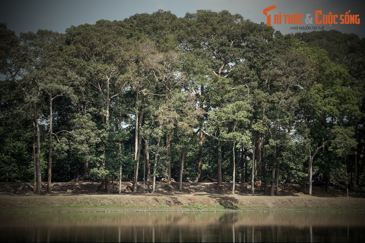 1. Theo giai thoại được kể lại nhiều nhất, ngày xưa, có một nhóm con trai và một nhóm con gái thi nhau đào ao. Bà Om dẫn đầu phái nữ. Cả hai phái đặt điều kiện với nhau: bên nào thua thì bên đó phải cưới hỏi bên kia và giao ước đến khi sao Mai mọc thì cuộc thi kết thúc.