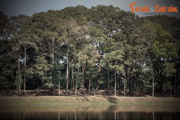 1. Theo giai thoại được kể lại nhiều nhất, ngày xưa, có một nhóm con trai và một nhóm con gái thi nhau đào ao. Bà Om dẫn đầu phái nữ. Cả hai phái đặt điều kiện với nhau: bên nào thua thì bên đó phải cưới hỏi bên kia và giao ước đến khi sao Mai mọc thì cuộc thi kết thúc.