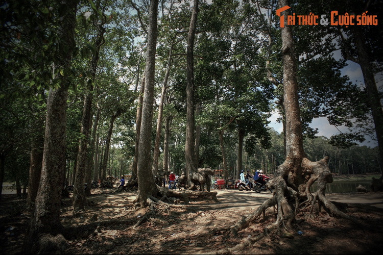 Nhóm nam ỷ sức mạnh nên vừa làm vừa chơi, trong khi nhóm nữ dưới sự chỉ huy của bà Om đã dùng nhiều mưu mẹo để trì hoãn nhóm nam. Khi đào gần xong, nhóm nữ còn cho thả đèn lồng ở phía Đông làm cho nhóm nam tưởng là sao Mai đã mọc nên nghỉ sớm.