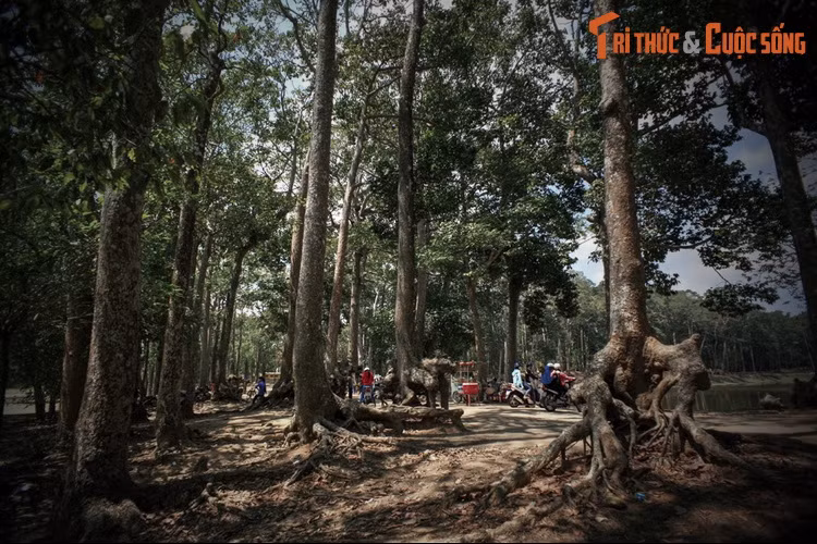 Nhóm nam ỷ sức mạnh nên vừa làm vừa chơi, trong khi nhóm nữ dưới sự chỉ huy của bà Om đã dùng nhiều mưu mẹo để trì hoãn nhóm nam. Khi đào gần xong, nhóm nữ còn cho thả đèn lồng ở phía Đông làm cho nhóm nam tưởng là sao Mai đã mọc nên nghỉ sớm.