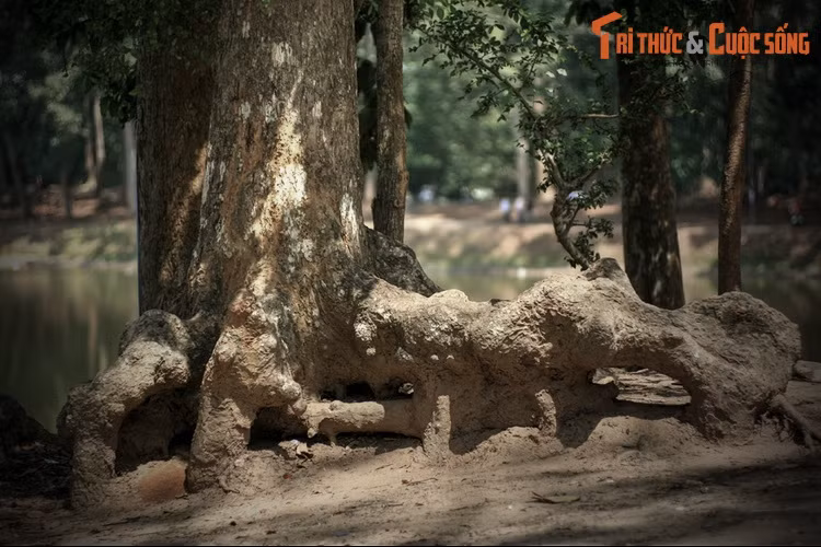 Nhưng công chúa đã cự tuyệt điều trái luân thường. Nàng cho binh lính đắp lũy hào quanh dinh thự để ngăn anh trai qua quấy rối. Nàng cũng cho đào ao lấy nước ngọt dùng trong dinh và giao cho bà Om chỉ huy quân đội canh gác bốn phía. Dân trong vùng tới lui lấy nước, gọi là ao Bà Om...