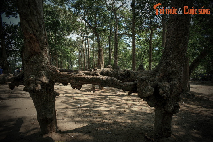 4. Theo giai thoại thứ 4, ngày xưa có một hoàng tử cùng em gái đền trấn nhậm. Hoàng tử đóng dinh ở Prasat, tức Sóc Trăng ngày nay, còn công chúa thì chọn khoảng đất gần ao Bà Om ngày nay để dừng chân. Do không tìm được người con gái vừa ý, hoàng tử đã sang hỏi cưới em gái.