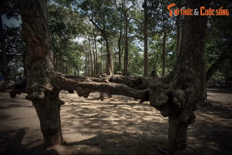 4. Theo giai thoại thứ 4, ngày xưa có một hoàng tử cùng em gái đền trấn nhậm. Hoàng tử đóng dinh ở Prasat, tức Sóc Trăng ngày nay, còn công chúa thì chọn khoảng đất gần ao Bà Om ngày nay để dừng chân. Do không tìm được người con gái vừa ý, hoàng tử đã sang hỏi cưới em gái.