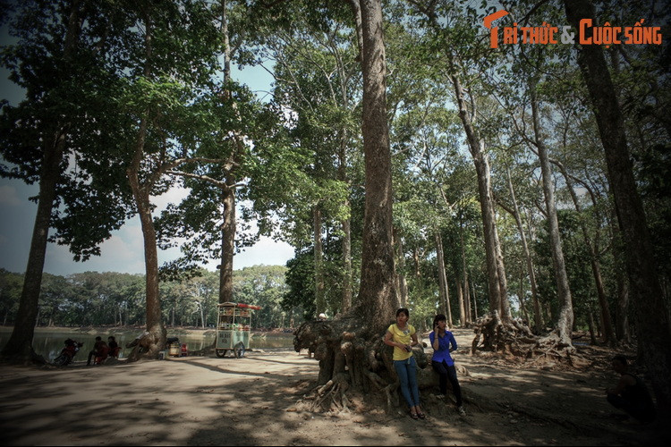 Một cô gái xinh đẹp đến bày tỏ sự phản đối hoàng tử. Bị lôi cuốn bởi vẻ đẹp của cô gái nên hoàng tử cho mở một cuộc thi đào ao, bên đào xong trước sẽ thắng cuộc, được bên thua đi cưới. Sau đó, mọi chuyện diễn ra như đã kể ở trên.