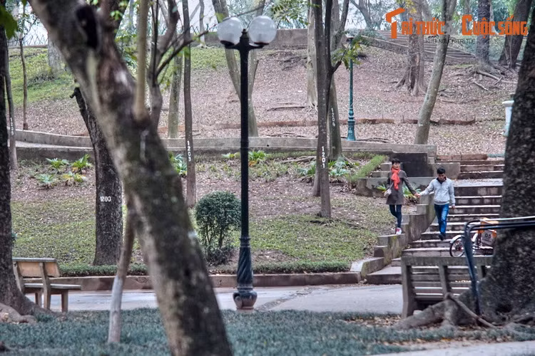 Theo các tư liệu lịch sử, vào đầu thời kỳ thuộc địa, ở phường Khán Xuân gần hồ Tây, người Pháp đã cho xây dựng một quần thể vườn bách thảo. Để cảnh quan bớt đơn điệu do địa hình bằng phẳng, các nhà thiết kế vườn đã cho đắp một ngọn đồi cao khoảng 10 mét làm điểm nhấn.