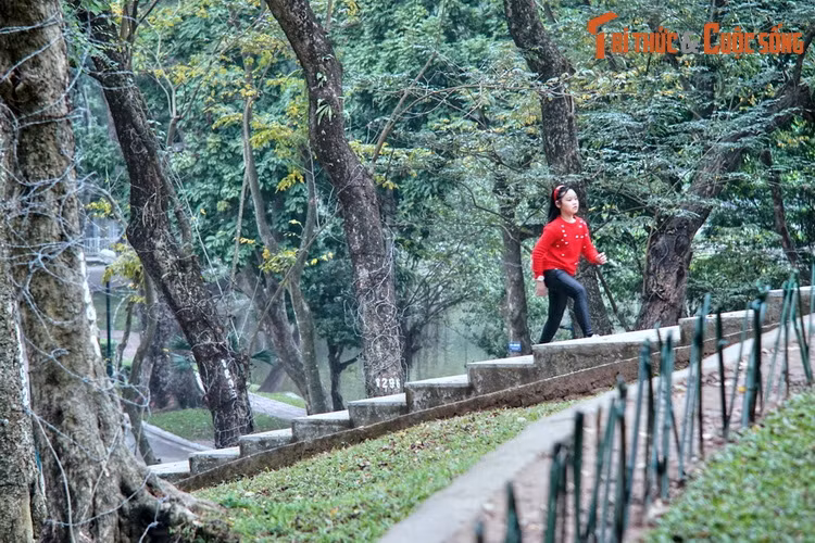 Ngày nay, núi Nùng là một điểm tham quan thú vị ở Hà Nội. Từ trên đỉnh núi có thể ngắm nhìn toàn cảnh khu Vườn bách thảo rộng lớn. Đây cũng là địa điểm chụp ảnh cưới được giới trẻ thủ đô ưa chuộng.