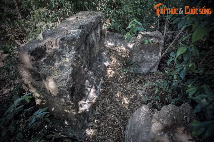 Trong các sử liệu Việt Nam thời cận và hiện đại, tước vị quận chúa lại hay bị nhầm là em gái ruột của các hoàng đế. Sự nhầm lẫn này phổ biến từ cuối thế kỷ 19 trở đi.