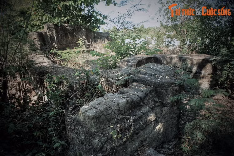 Lịch sử Việt Nam ghi nhận một số quận chúa nổi tiếng như Anh Nguyên quận chúa - con gái của Hưng Đạo đại vương Trần Quốc Tuấn, Ngọc Hoa quận chúa - con gái nuôi của chúa Sãi Nguyễn Phúc Nguyên, Ứng Thụy quận chúa - con gái của vua nữ Lý Chiêu Hoàng...