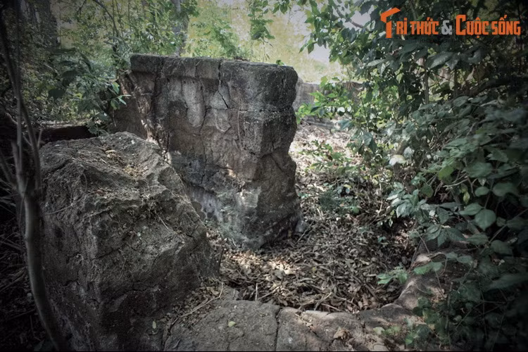 Theo giới nghiên cứu lịch sử, ở các quốc gia Đông Á, “quận chúa” là một tước vị thường được phong cho con gái của các vị vương, tức vương nữ. Trong chế độ hoàng quyền, quận chúa là cháu gọi các hoàng đế đương thời bằng chú bác.