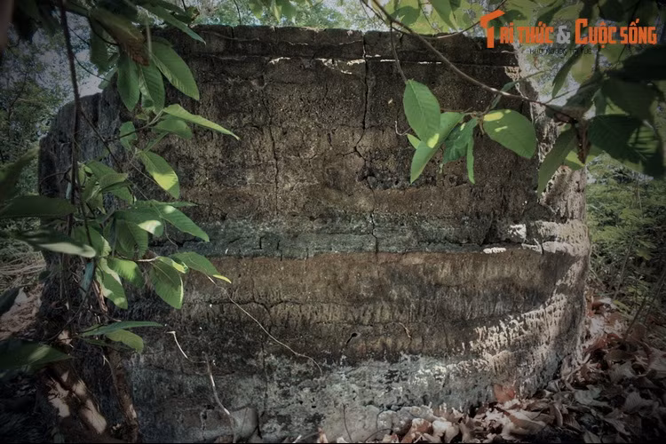 Mục đích của việc khai quật này nhằm xác định danh tính, phục vụ cho công việc nghiên cứu về văn hóa, lịch sử, phục vụ du lịch, cũng như để vạch ra phương hướng bảo tồn giá trị của ngôi mộ cổ.