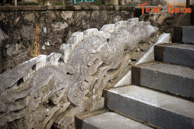 Lưng rồng có hàng vây dựng lên như như những ngọn lửa. Chân rồng có 5 móng.