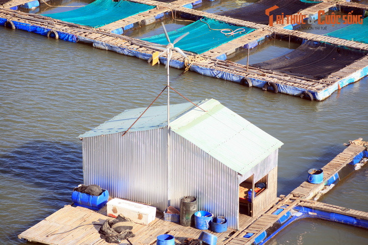 Tất cả được kết nối với nhau bằng hệ thống lối đi dập dềnh trên sóng nước.