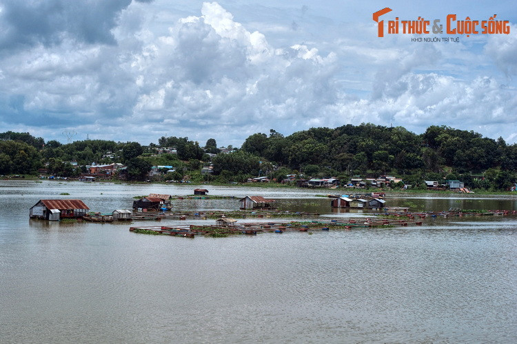 So với làng bè Châu Đốc và làng bè Long Sơn, làng bè La Ngà có phần mộc mạc hơn do dịch vụ du lịch chưa phát triển bằng. Ghé thăm làng bè này, du khách sẽ có những trải nghiệm thú vị như câu cá và thưởng thức các món ăn làu từ thủy sản nuôi tại làng bè.