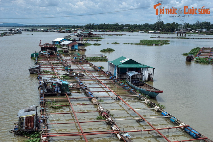 Điểm đặc biệt của làng bè La Ngà là cứ đến tháng 4 dương lịch hàng năm, hồ Trị An sẽ xả nước, lòng hồ trở nên cạn khô, khiến hàng trăm nhà nổi ở đây bắt đầu rơi vào "mùa mắc cạn". Đến tận cuối tháng 7, hồ bắt đầu tích trữ nước trở lại, khu làng nổi "hồi sinh".