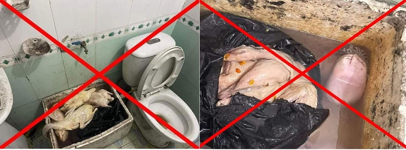 Sự thật bất ngờ vụ “quán vịt có giòi cạnh bồn cầu” ở Quảng Ninh Su that bat ngo vu “quan vit co gioi canh bon cau” o Quang Ninh