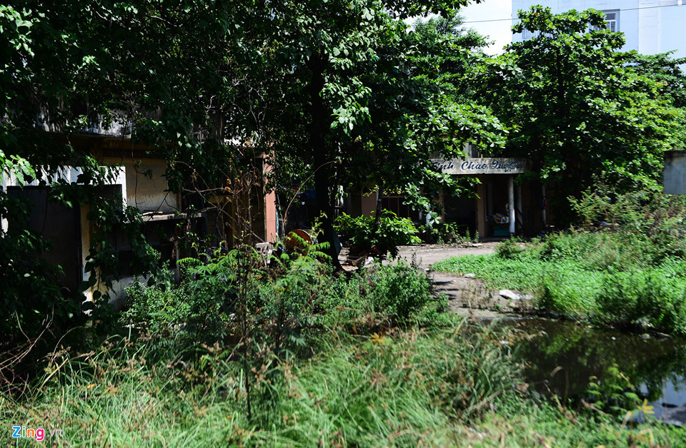 Phần lớn diện tích khu đất hiện là bãi cỏ thường bị ngập nước nằm bên cạnh khu dân cư và dãy nhà xưởng.